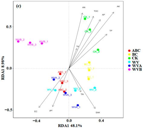 Amelioration of Coastal Salt-Affected Soils with Biochar, Acid Modified ...