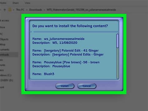 How to Install Sims 2 Mods 的图像结果
