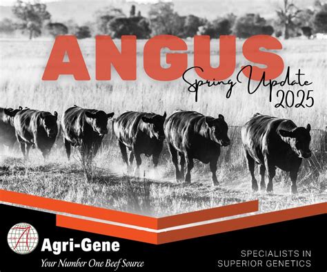 History of Angus - Angus Australia