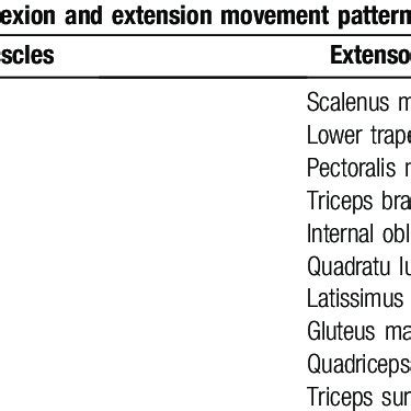 Image result for Extension Muscle Movement