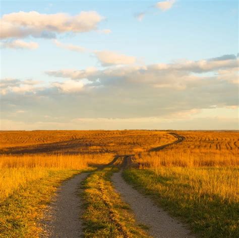 Image result for Oregon Trail Tips