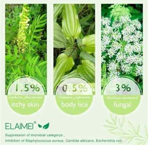 Herbal Ointment Antibacterial Cream Anti itch Relief | Ubuy India