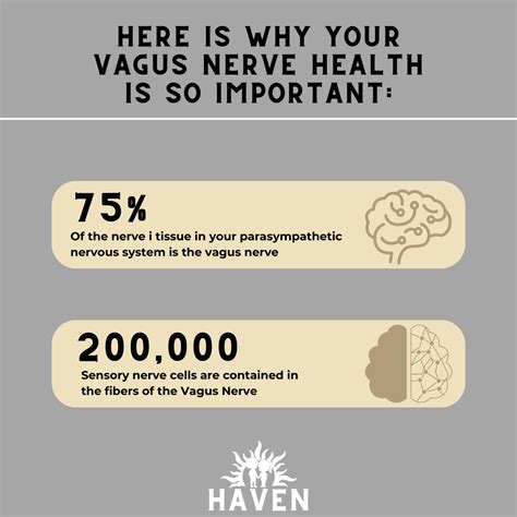 Vagus Nerve Disorders