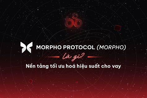 Morpho Problem 的图像结果