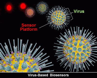 Virus Outbreaks in Chemical and Biological Sensors