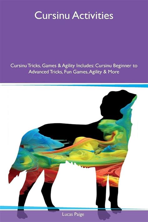 Buy Cursinu Activities Cursinu Tricks, Games & Agility Includes ...