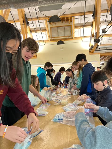 Service Learning 的图像结果