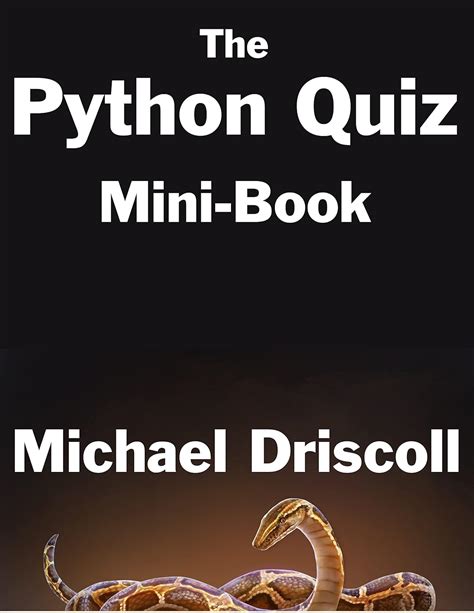 A Little Video of Python Programming 的图像结果