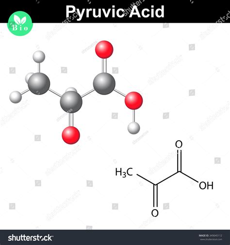 Image result for Pyruvate Molecule