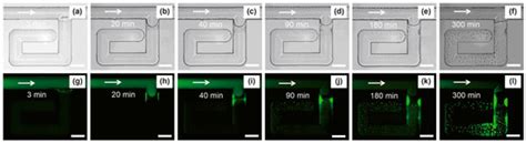 Wettability Alteration Mechanisms in Enhanced Oil Recovery with ...