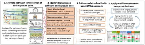 Faecal Pathogen Flows and Their Public Health Risks in Urban ...