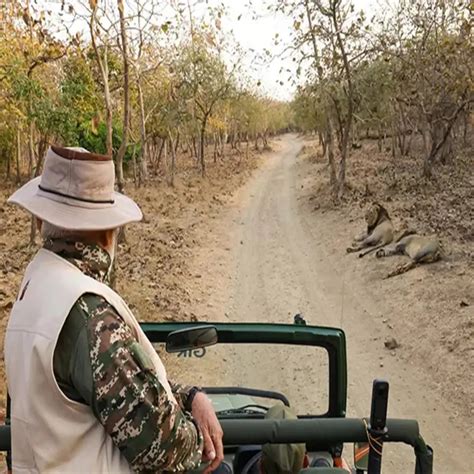 AAP MP Sanjay Singh alleges Modi govt using caste census to deflect ...