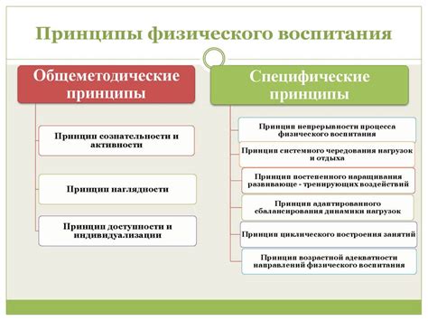 Принципы физического воспитания: Общие, методические, специфические