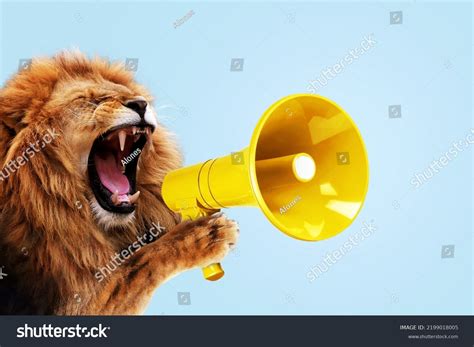 Cool Beautiful Lion Holding Screaming Into Stock Photo 2199018005 ...