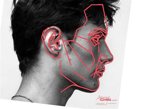 Male Face Template, Golden Ratio Grid, Side Profile (digital Download ...