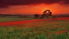 Summer Landscape Wallpapers For Computer by Summer Landscape Wallpaper High Definition High Summer Landscape Wallpapers For Computer