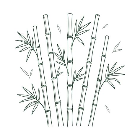 Buy Bamboo Seeds Online India — ISF Certified | SeedsCart