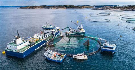 ABB at Marintec China 2025 - Events