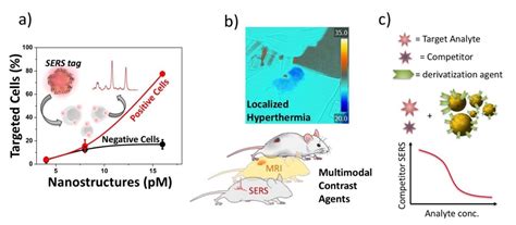 Nanoparticles Engineering by Pulsed Laser Ablation in Liquids: Concepts ...