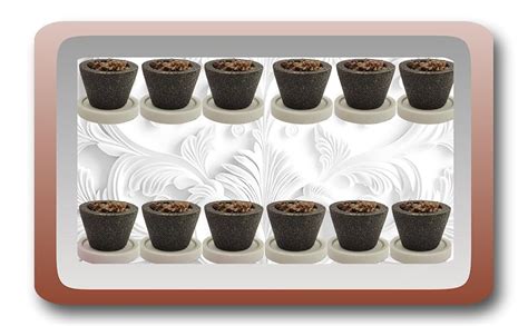 Nishan Natural Guggal Sambrani Dhoop Cups, 144 Pcs (12 Box) with Holder ...