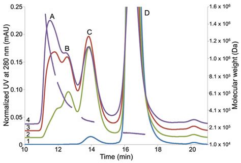 Monoclonal Antibody Aggregation Associated with Free Radical Induced ...