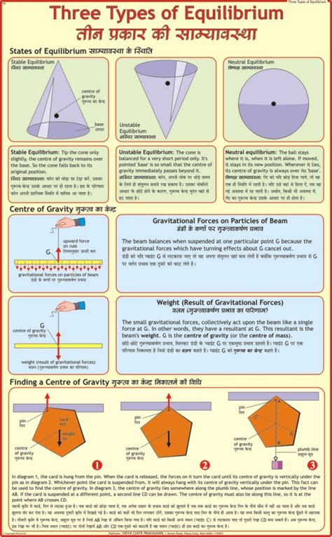 Image result for Dynamic Equilibrium Chart