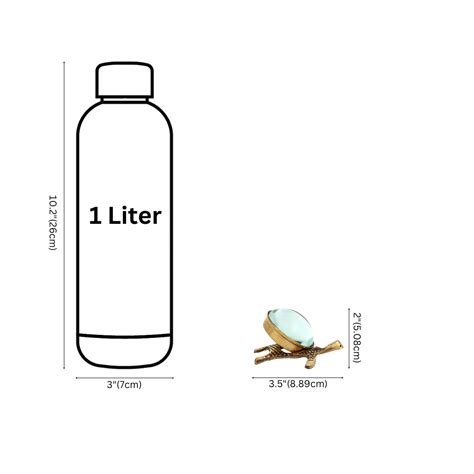 Brass Tortoise Shree Yantra (Small) with Tilted glass Lens – Natriel