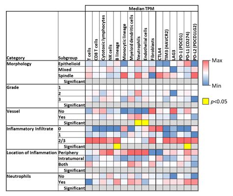 Genomic Landscape of Angiosarcoma: A Targeted and Immunotherapy ...