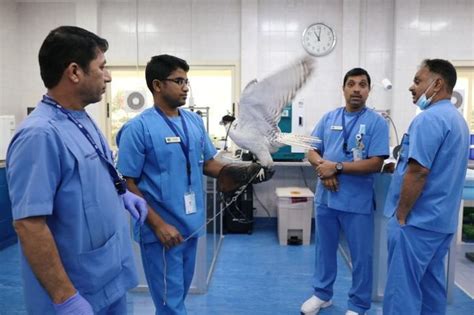 A Sneak Peek Inside The World's Largest Falcon Hospital In Abu Dhabi
