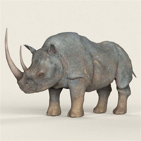 Rhino - 3D Model by cganimalworld