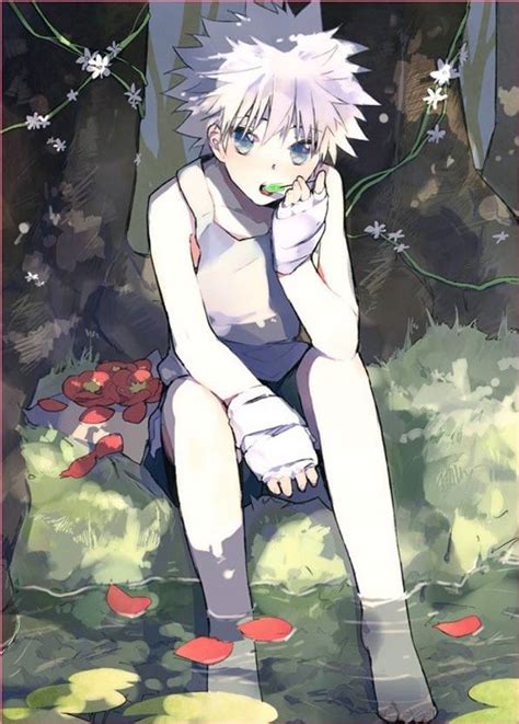 Killua Zoldyck Hunter X Hunter Anime Series Hd Matte Finish Poster ...