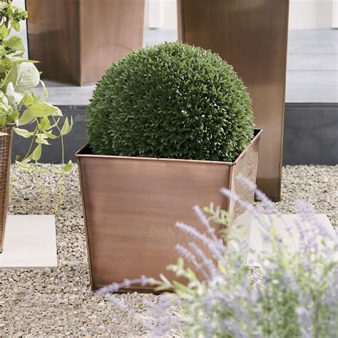 Single Podocarpus Ball | Grandin Road