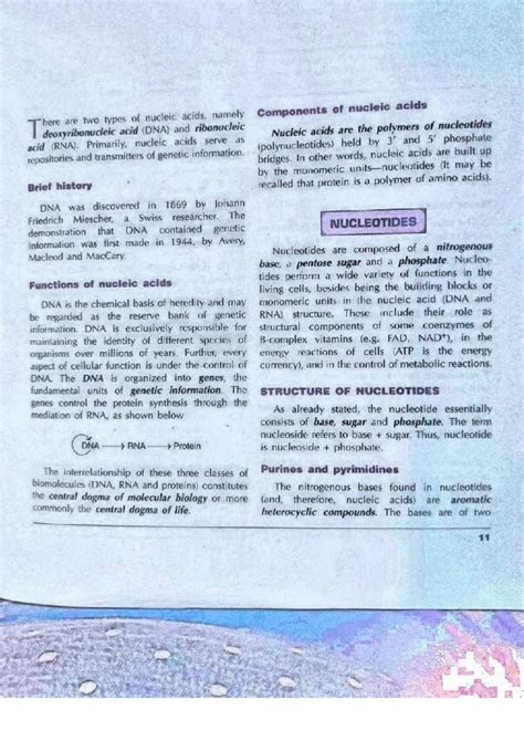 Structure of DNA and RNA-1 - Molecular Biology - Studocu