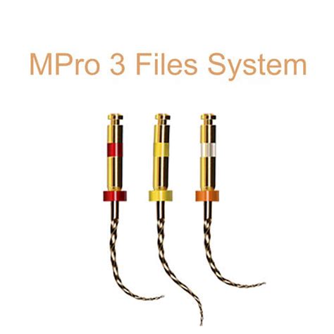 Image result for M-Pro File System