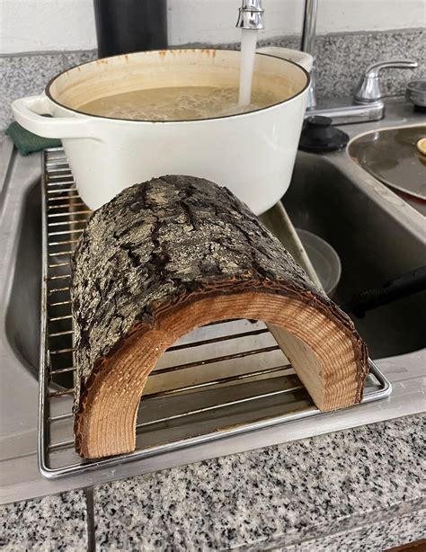 How to Test Wood for Aquariums 的图像结果