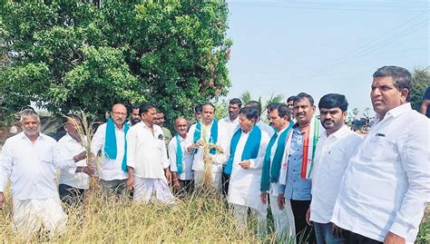 Telangana: Congress, Left leaders demand compensation for rain-hit farmers