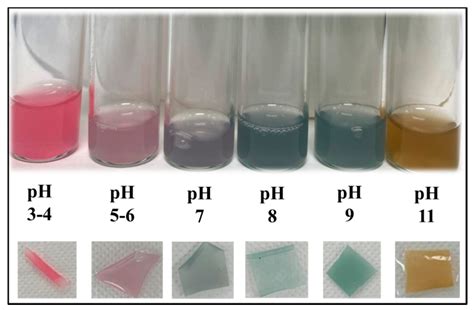 Preparation of pH-Indicative and Flame-Retardant Nanocomposite Films ...