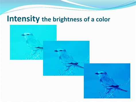 Image result for Intensity Color Wheel