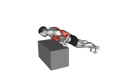Inclime Reverse Push-up: Ultimate Exercise Guide & Tips