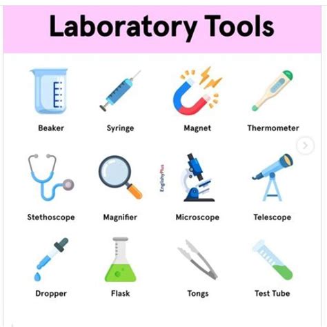 Image result for Lab Tools
