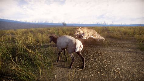 Lightning Fast Game 的图像结果