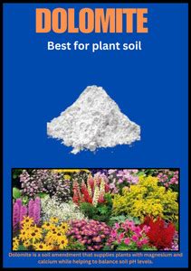 Vedika Collection DOLOMITE 1 KG Manure, Potting Mixture, Soil ...