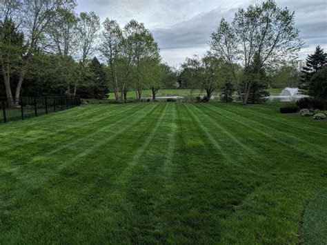 Thomas Lawn & Landscape Office Photos