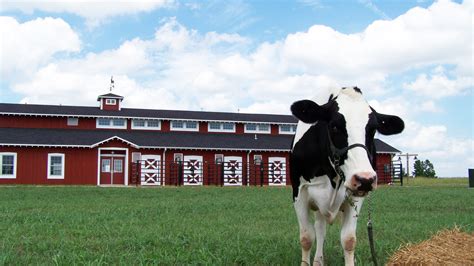 Rutledge Wilson Farm Park celebrates life on the farm