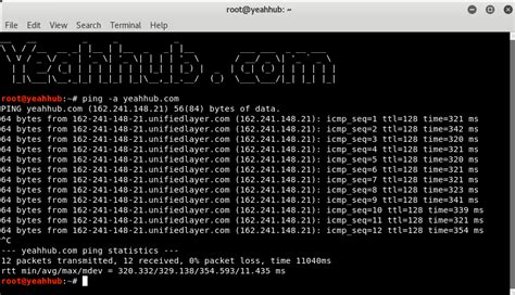 Image result for Ping Command Continuous