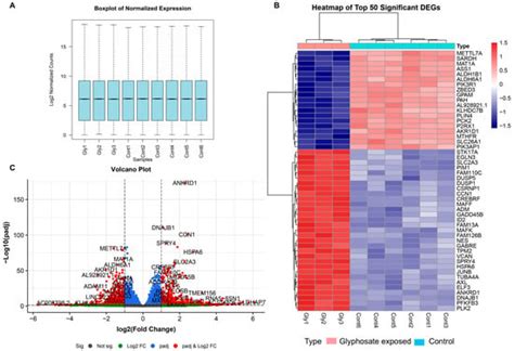 Disease Risks and Toxic Pathway from Environmental Chemical Exposure