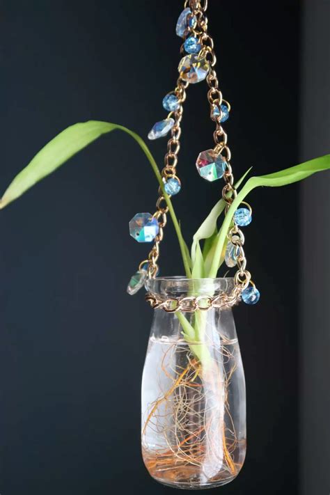 Hanging Propagation | Plant decor, Handmade plant, Engagement gifts for her