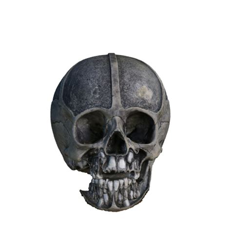p3d.in - MUTTER adolescent-skull cleaned-exported