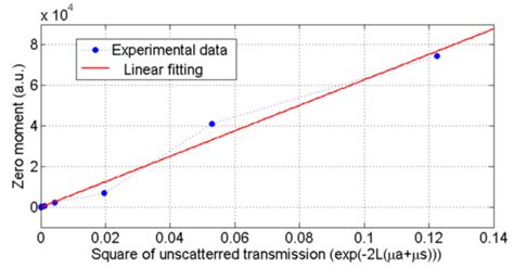 Methods and Limits for Micro Scale Blood Vessel Flow Imaging in ...