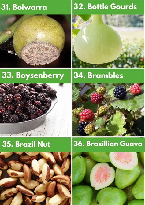 Filipino Fruits List